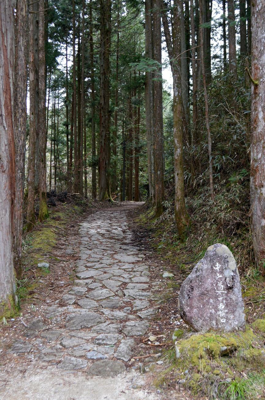 The Nakasendo trail